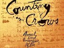 Counting Crows August & Everything After Analogue Productions 180g vinyl 2 LP g/