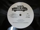 MAJESTERIANS - Youth-Man w/ Sly & Robbie dub / Taxi JJ201 / LISTEN EX