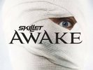 Skillet SEALED Awake LP Vinyl Christian Rock
