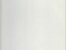 The Beatles White Album DMM ALL INSERTS NEAR MINT Parlophone 2xVinyl LP