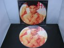 Vinyl Record 12” Picture Disc PRINCE & THE NPG COLLECTORS' EDIT