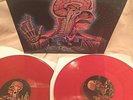 Tool ?– Lateralus reissue 2 RED VINYL x LP gatefold sleeve - near mint