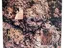 The Icicle Works 1984 Debut Album LP Vinyl Record Lyrics 1980s Punk Rock Music