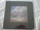 CHAPEL OF DISEASE  LAVISH VINYL  AND AS WE HAVE SEEN THE STORM WE HAVE EMBRACED