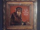 RARE STILL SEALED TALKING HEADS NAKED ORIGINAL 1988 12