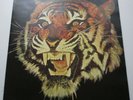 TIGER 'TIGER' RARE UK HEAVY PROG BLUES ROCK '76 ARCHIVE COPY