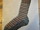V2005 Henry Cow Legend