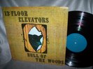 13th Floor Elevators  