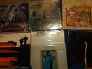 7x Steely Dan Lps royal Scam Aja Gaucho Katy Lied Can't Buy a thrill Hits Count