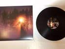 Senses Fail Vinyl LP Renacer Purple 1st Press Limited To 500 Copies
