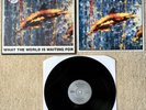 THE STONE ROSES - WHAT THE WORLD IS WAITING FOR 12