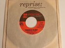 Frank Sinatra / Strangers in The Night / 45 & Co. sleeve / NM