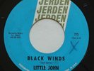 Garage Psych LITTLE JOHN & THE MONKS Black Winds / Needles & Pins JERDEN 45 MP3