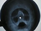 DOORS - Queen Of The Highway X-RAY UNIQUE USSR ROENTGEN Bones Record Skull