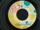 THE NEW ESTABLISHMENT  - ROCK FORT ROCK  (REGGAE)  45