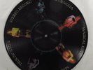 SATURNALIA Magical Love MATRIX LP VG+ picture disc uk
