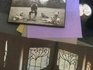 George Harrison All Things Must Pass Vinyl Record 3 LP Original