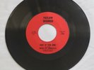 MOTOR CITY BONNEVILLES MAKE UP YOUR MIND THAT LONELY FEELING PATLOW RECORDS 7009