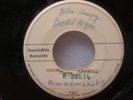 BRIAN WILSON & MIKE LOVE TEST PRESS PROMO COPY 