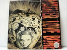 MOTHER LOVE BONE-  APPLE - Rare First Press Vinyl LP - Polydor 4228431911