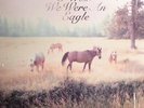 CALLAHAN, Bill - Sometimes I Wish We Were An Eagle - Vinyl (LP)