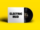 MUDDY WATERS - ELECTRIC MUD   VINYL LP NEW