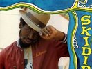 EEK A MOUSE Skidip LP NEW VINYL Greensleeves Roots Radics Dancehall