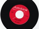 RAIDERS  - 45 - Hocus Pocus                                              RARE