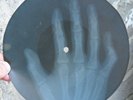 MONKEES - STEPPIN' STONE - UNIQUE USSR GEORGIAN X-RAY ROENTGEN HAND BONES RECORD