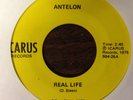 Antelon - Real Life / You May Be Surprised (VG 7