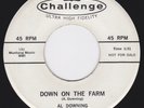 Rockabilly Black Rocker dj promo 45 - AL DOWNING - Down On The Farm / Oh Babe