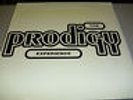 Prodigy - Experience - 2LP Vinyl /// Neu & OVP