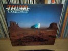MALLARD In a different climate UK 1975 VIRGIN 1st Press 'DJ PROMO' LP Beefheart