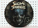 Suicidal Tendencies - 13 LP Collector's Edition Picture Disc Vinyl Record Album