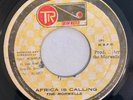 THE MORWELLS - AFRICA IS CALLING - GROOVEMASTER ( ROOTS 7 )