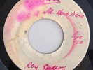 ROY SHIRLEY - SOUL VOICE / MUSICAL WAR - BLANK ( RARE ROCKSTEADY 7 )