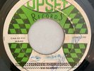 LEE PERRY - UPSETTERS - BATHROOM SKANK - UPSET ( ROOTS 7 )