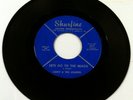 LARRY & THE LOAFERS Let's Go To The Beach / Who RARE GARAGE SURF 45 on SHURFINE