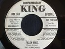 Hurricanes, King 5018, Fallen Angel & I'll Always Be In Love With You, Bio Label
