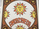 ANDROMEDA UK RCA VICTOR VINYL LP RARE 1969 RELEASE  SF 8031