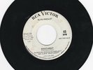RARE ELVIS WHITE PROMO 45 - ROUSTABOUT/ONE TRACK HEART - RCA