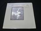 Laughing Hands - Dog Photos - In Shrink - EX+ RARE with Insert