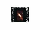 Colin Newman-Not To VINYL NEW
