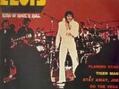 Elvis Presley King Of Rock N Roll RCA 2xVinyl LP