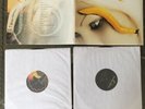 A Perfect Circle - Thirteenth Step vinyl record