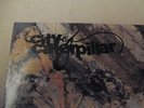 City of Caterpillar, Level Plane Records, Rare Record, City of Caterpillar LP, E