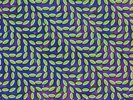 Animal Collective - Merriweather Post Pavilion