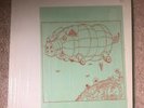 Led Zeppelin - THE HISTORIC BBC PRESENTATION - Red Vinyl LP -