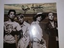 Jane’s Addiction STRAYS Vinyl LP Album 2003 *RARE*