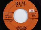 Doo Wop R&B 45 ADELPHIS Shine Again RIM HEAR
